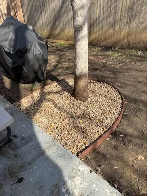 Tree base and landscape area being improved around a North Texas tree