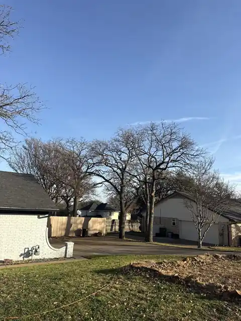 Large residential tree trimming job planned around driveway access