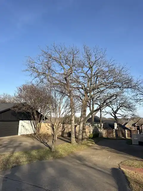 Tree and brush clearing work on a North Texas property