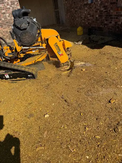 Texas Tree Tops grinding a stump on a residential property
