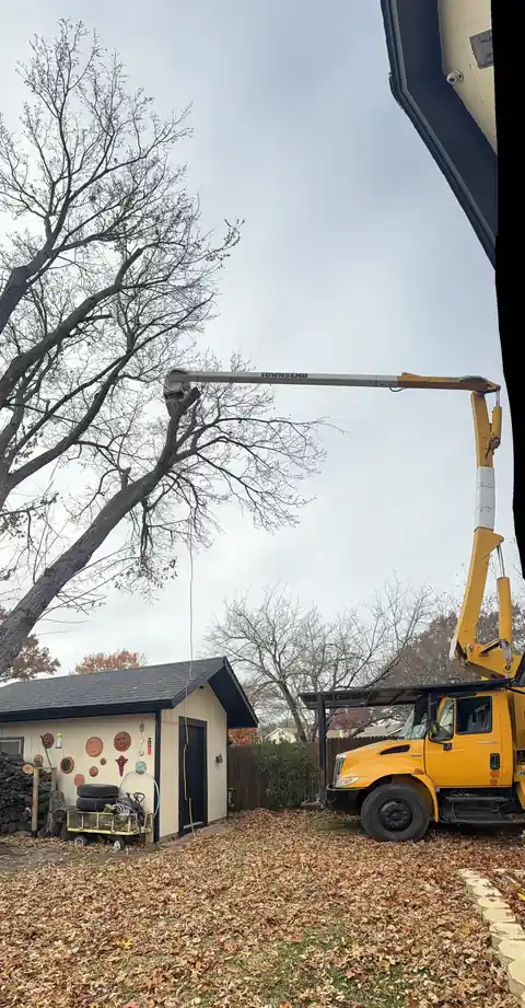 Limb removal work over a North Texas home
