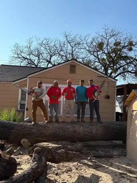 Texas Tree Tops team standing near a completed tree service job
