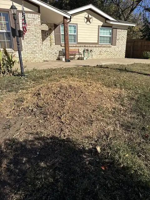 Yard after stump grinding work