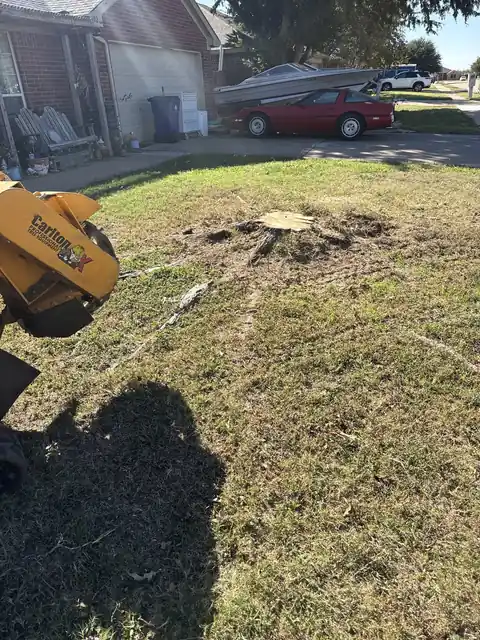 Property cleanup area before stump and yard work