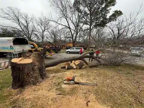 Texas Tree Tops tree trimming service on a residential property