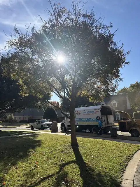 Trimmed tree with Texas Tree Tops company truck