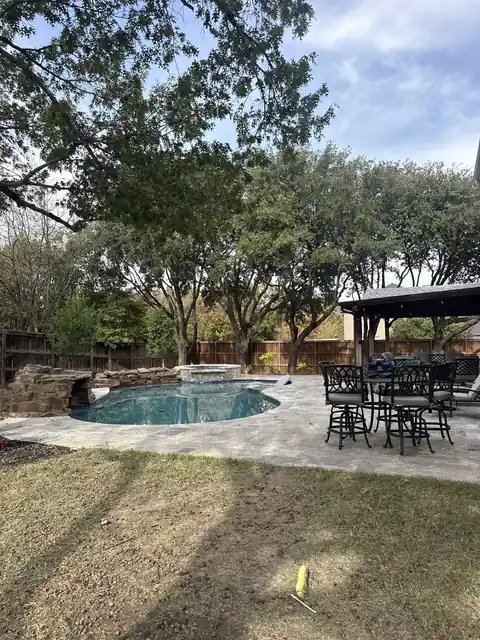 Trimmed residential tree beside a backyard pool