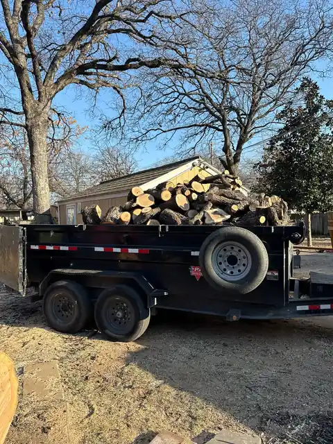 Truck loaded with tree trunks after commercial tree cleanup