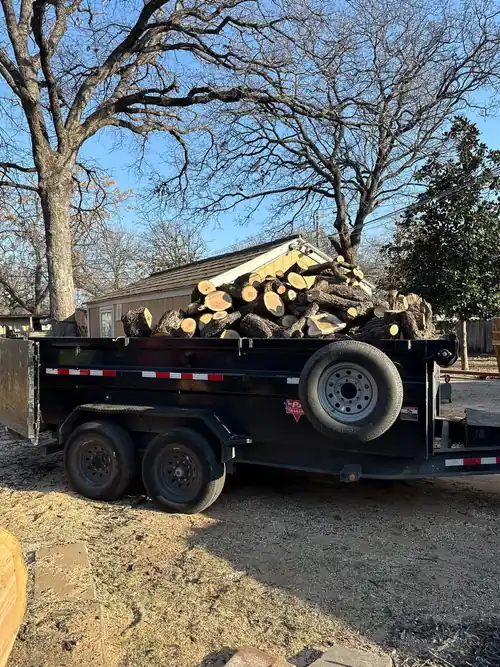 Truck loaded with tree trunks after commercial tree cleanup