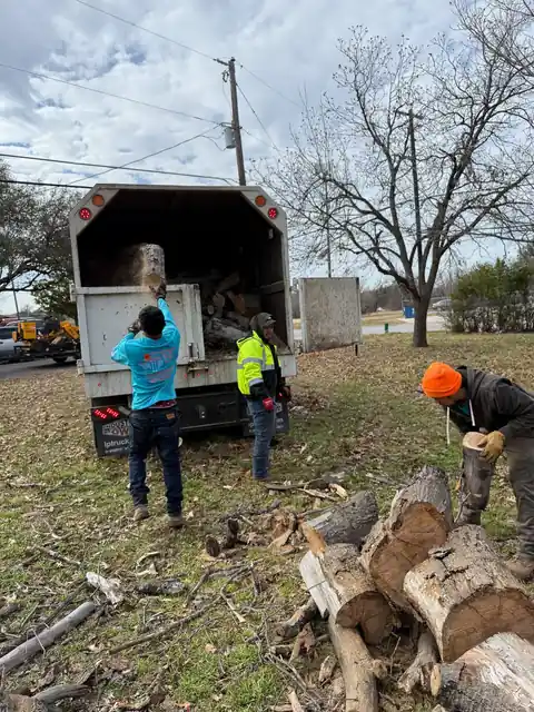 Texas Tree Tops crew clearing vegetation and tree debris