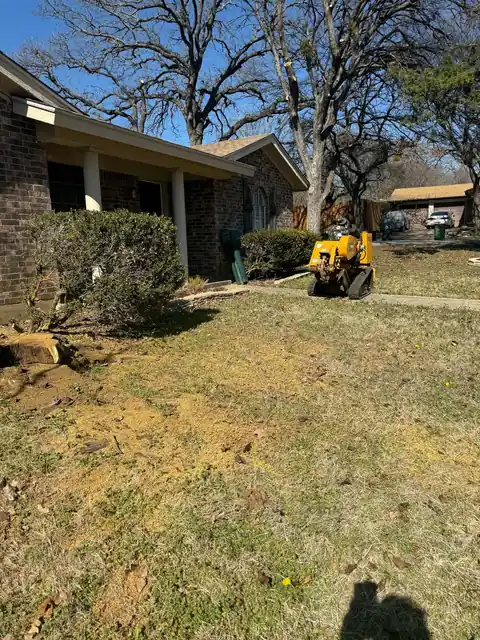 Stump grinder working a front-yard bed beside a brick house