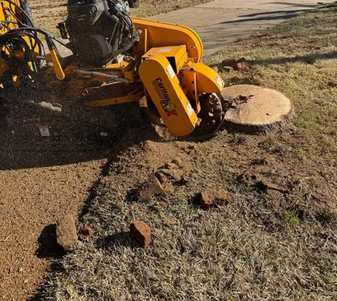 Orange tracked grinder working a front-yard stump