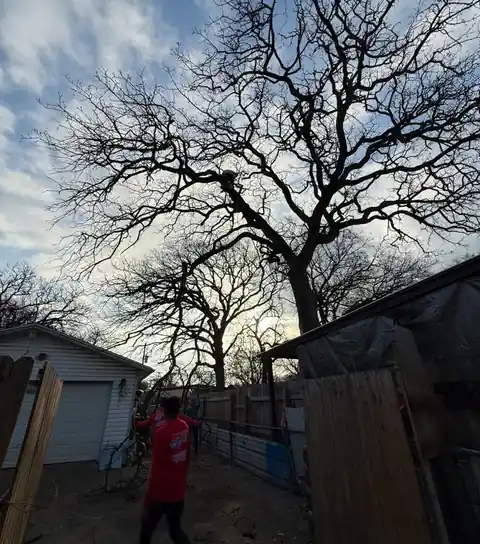 Crew member at a backyard fence and gate under large oaks