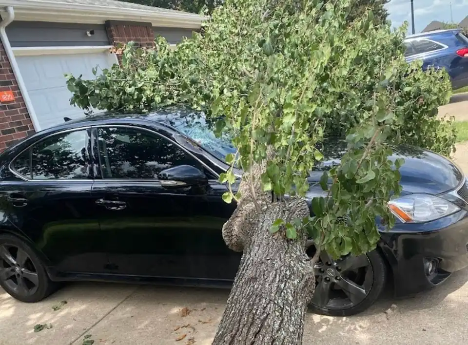 A tree trunk fallen across a black car in a driveway after a storm