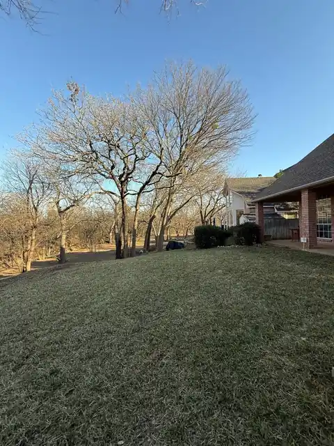 Bare trees at the edge of a backyard lawn beside a covered patio