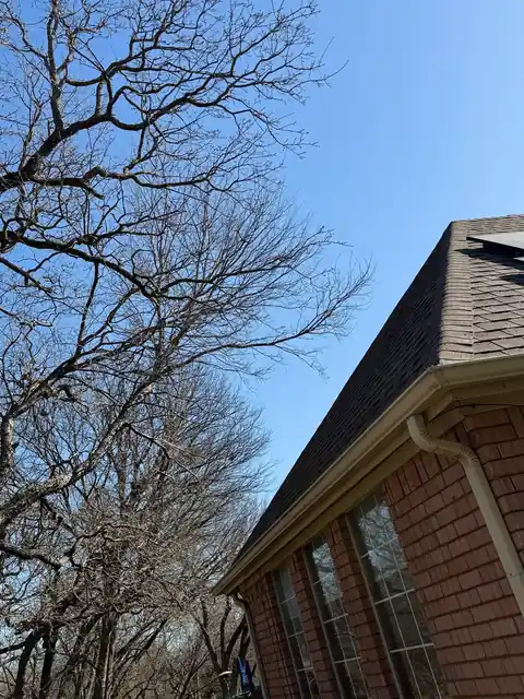 A bare tree reaching over the roofline of a brick house